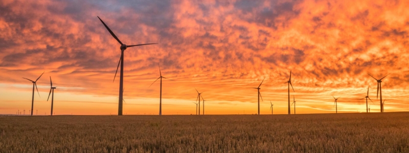 services_environment