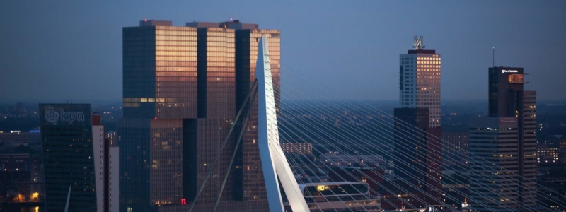 photo-1442407144300-e48b9dfe446b